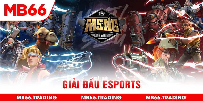 giai-dau-esports